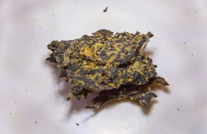 紫阳富硒茶有啥品种(紫阳富硒茶品种和单价)-硒宝网