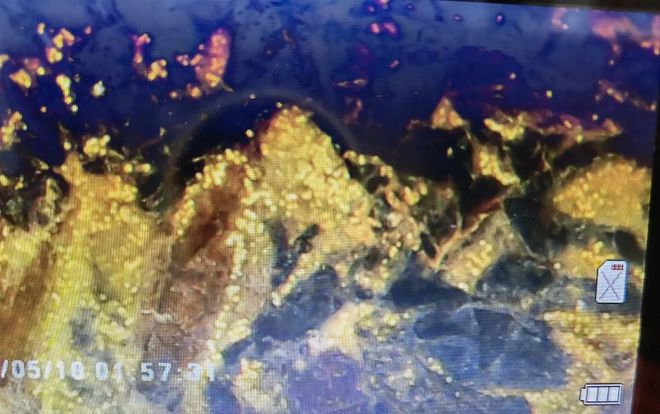 紫阳富硒茶有啥品种(紫阳富硒茶品种和单价)-硒宝网