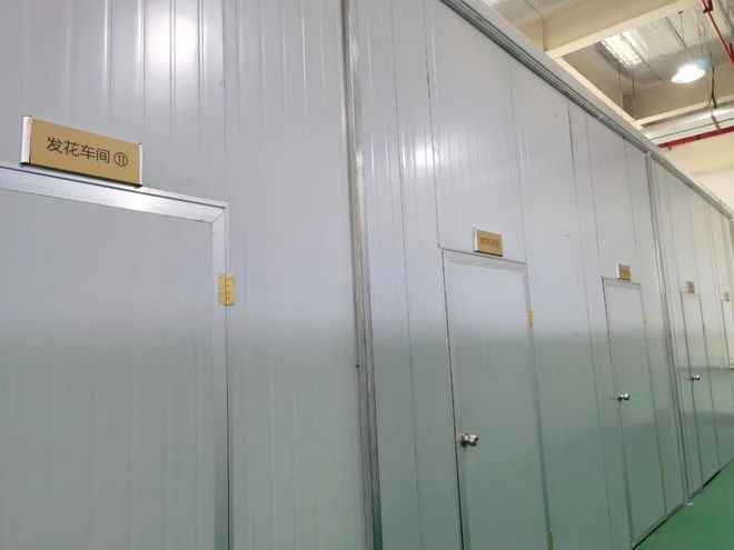 紫阳富硒茶有啥品种(紫阳富硒茶品种和单价)-硒宝网