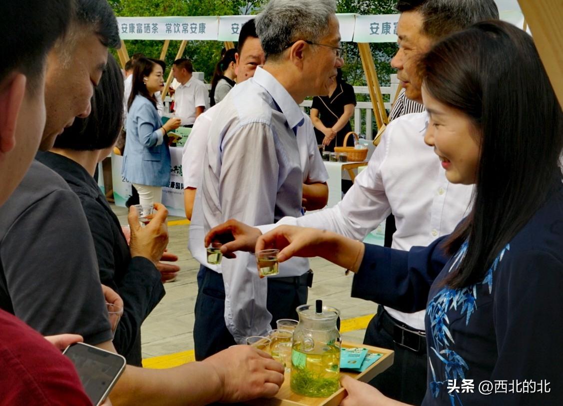 陕西安康富硒茶礼盒(安康富硒茶多少钱一斤汗水晨雾)-硒宝网