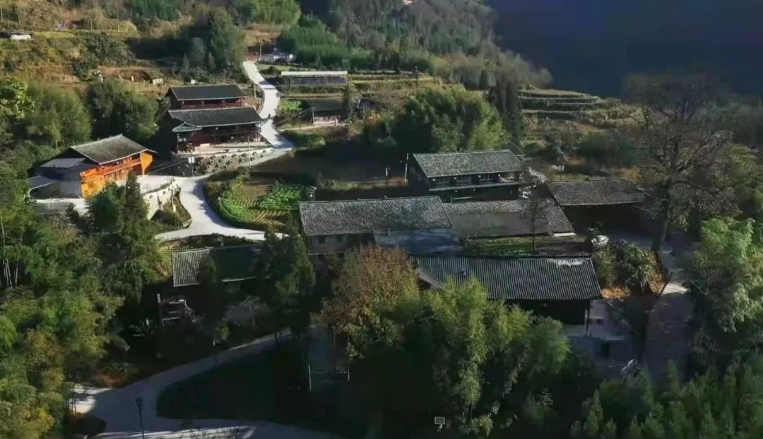 恩施富硒茶宣传标语（恩施富硒茶广告语）-硒宝网