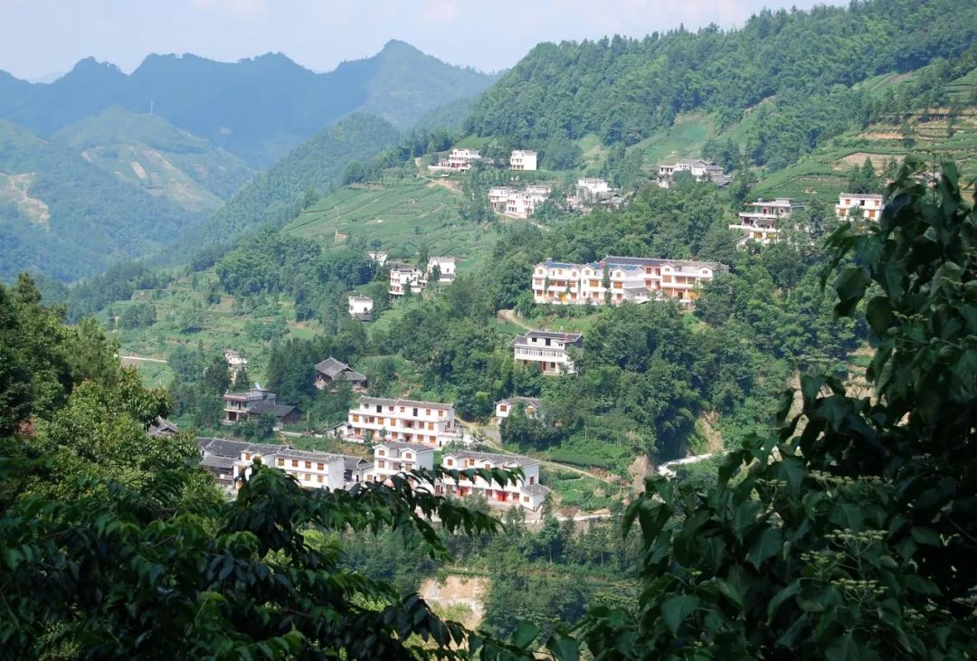 恩施富硒茶宣传标语（恩施富硒茶广告语）-硒宝网