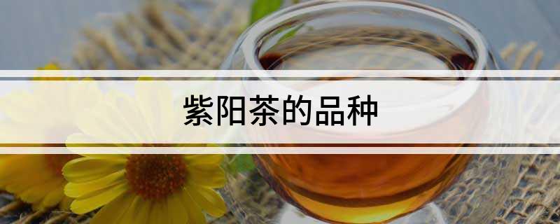 紫阳富硒茶有啥品种(茶品种紫阳富硒有哪几种)-硒宝网