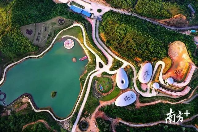 长寿富硒的茶有哪些(长寿硒的功效与作用)-硒宝网