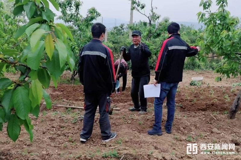 汉中仙毫有机富硒茶(汉中仙毫茶厂)-硒宝网