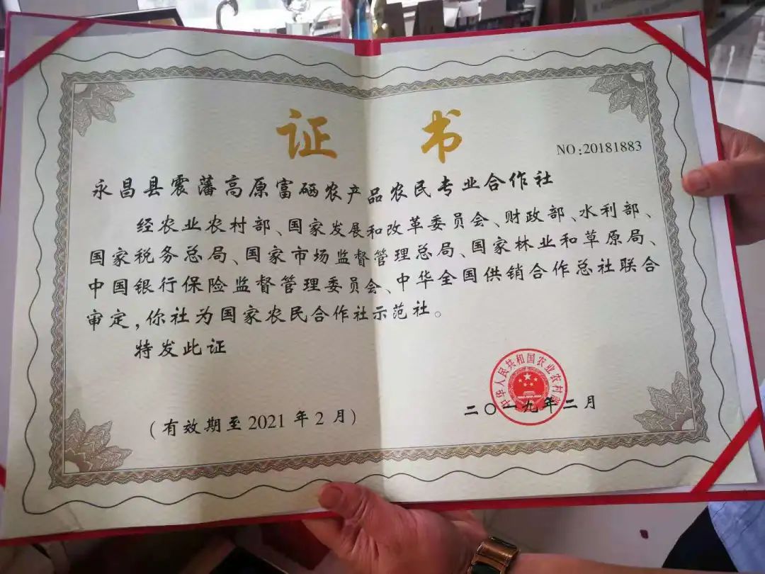 富硒大麦茶 焦家庄（焦麦茶和大麦茶有什么区别）-硒宝网