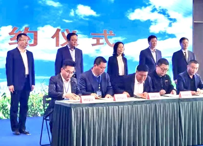 富硒大麦茶 焦家庄（焦麦茶和大麦茶有什么区别）-硒宝网