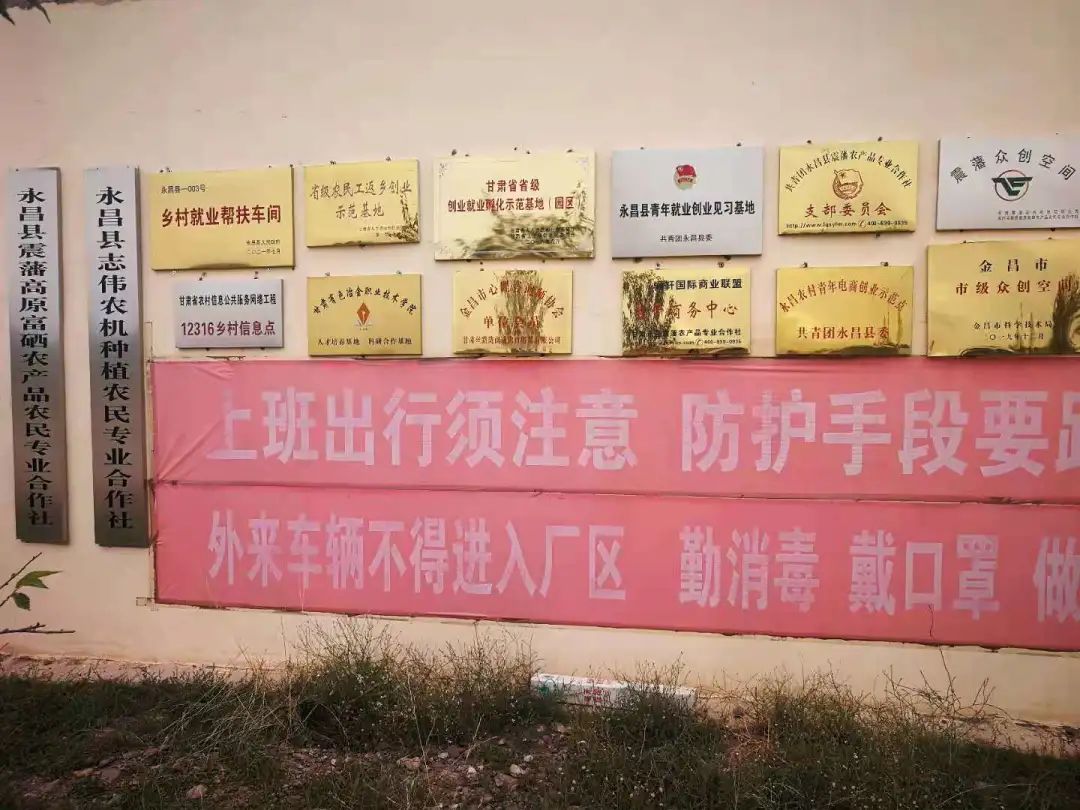 富硒大麦茶 焦家庄（焦麦茶和大麦茶有什么区别）-硒宝网