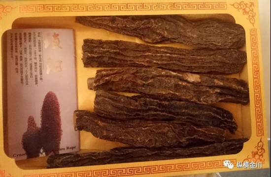 富硒大麦茶 焦家庄(焦大麦茶的功效与作用)-硒宝网