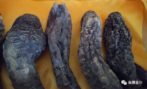 富硒大麦茶 焦家庄(焦大麦茶的功效与作用)-硒宝网