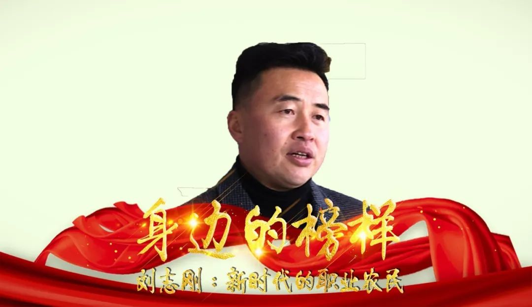 富硒大麦茶 焦家庄（焦大麦的作用和功效）-硒宝网