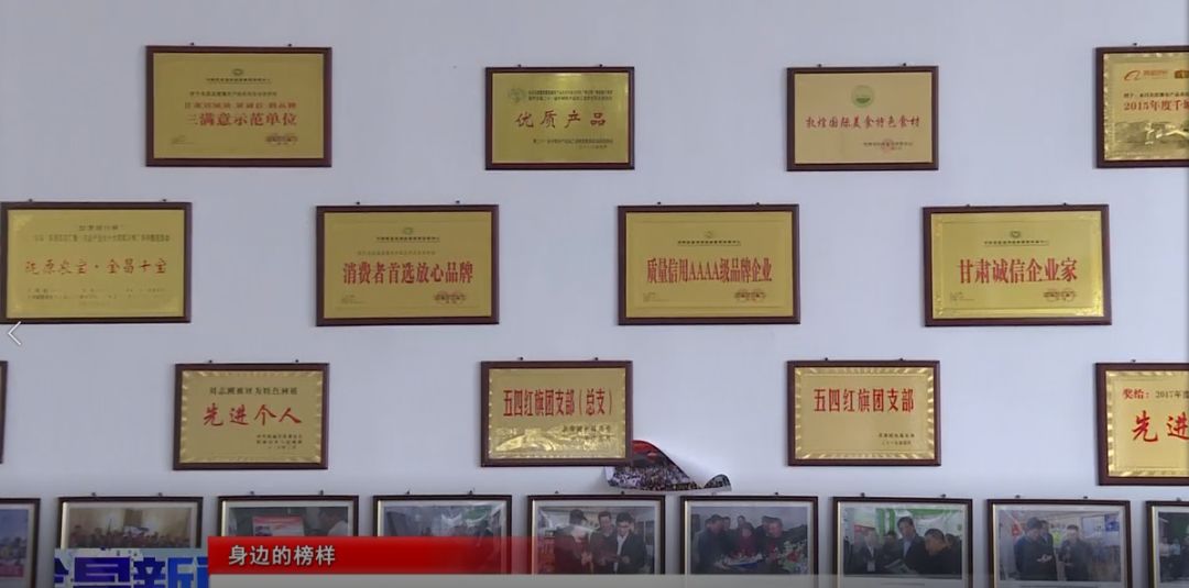 富硒大麦茶 焦家庄（焦大麦的作用和功效）-硒宝网