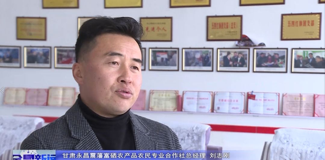 富硒大麦茶 焦家庄（焦大麦的作用和功效）-硒宝网