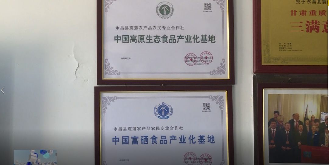 富硒大麦茶 焦家庄（焦大麦的作用和功效）-硒宝网