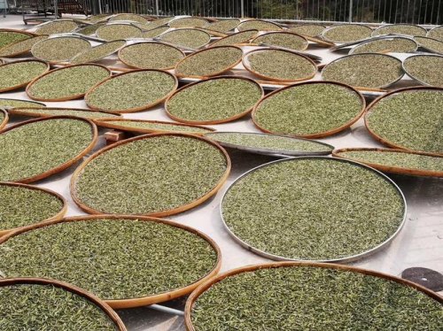 安吉白茶是富硒茶吗（富硒白茶价格）-硒宝网