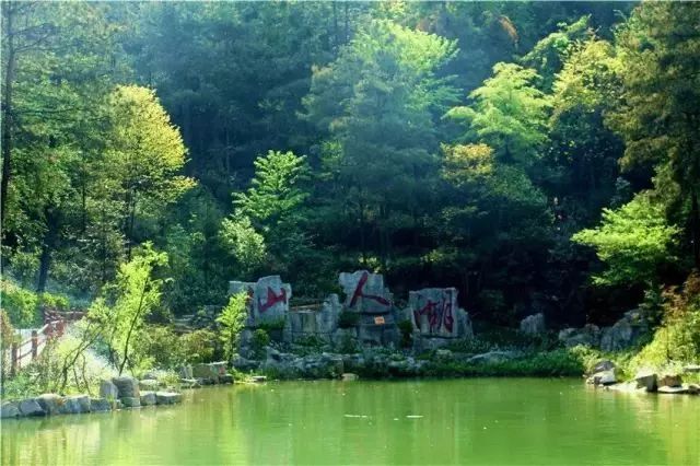 中国富锌富硒有机茶（茶机富硒富锌中国有卖的吗）-硒宝网