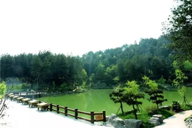 中国富锌富硒有机茶（茶机富硒富锌中国有卖的吗）-硒宝网