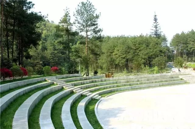 中国富锌富硒有机茶（茶机富硒富锌中国有卖的吗）-硒宝网