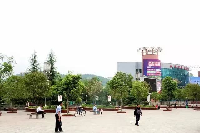 中国富锌富硒有机茶（茶机富硒富锌中国有卖的吗）-硒宝网