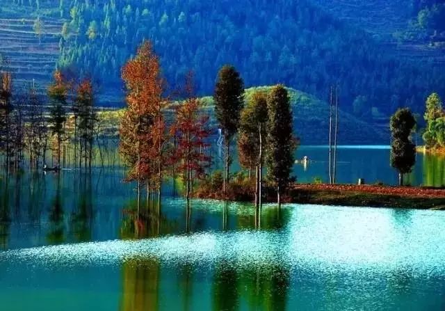 中国富锌富硒有机茶（茶机富硒富锌中国有卖的吗）-硒宝网