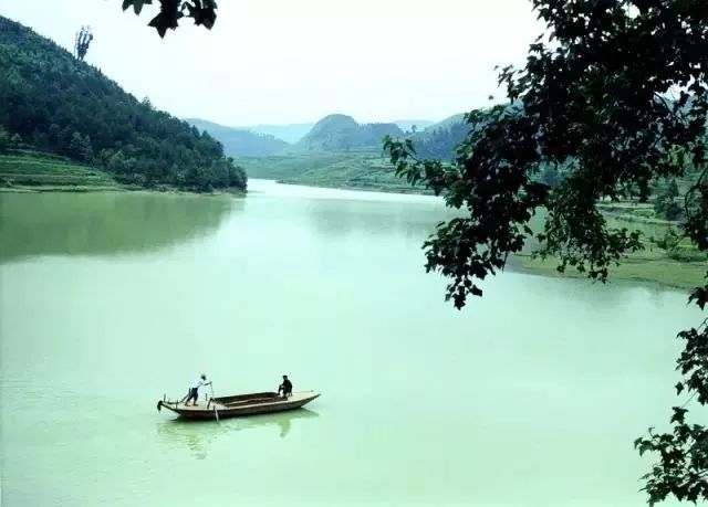 中国富锌富硒有机茶（茶机富硒富锌中国有卖的吗）-硒宝网