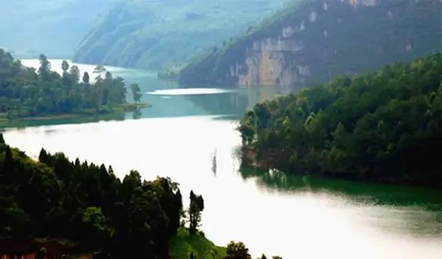 中国富锌富硒有机茶（茶机富硒富锌中国有卖的吗）-硒宝网