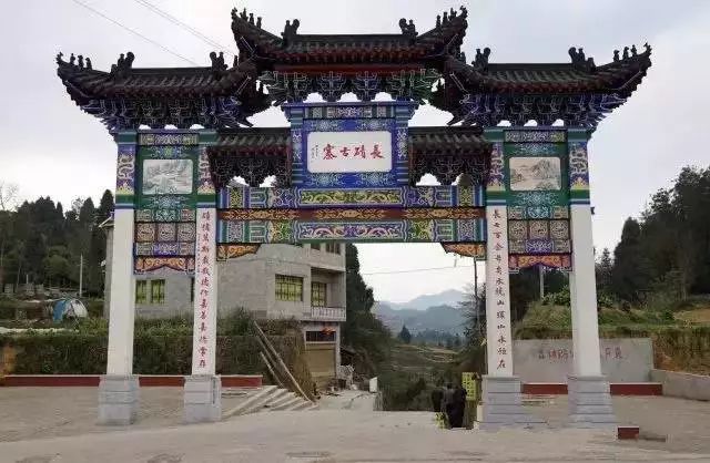 中国富锌富硒有机茶（茶机富硒富锌中国有卖的吗）-硒宝网