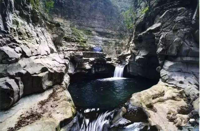 中国富锌富硒有机茶（茶机富硒富锌中国有卖的吗）-硒宝网