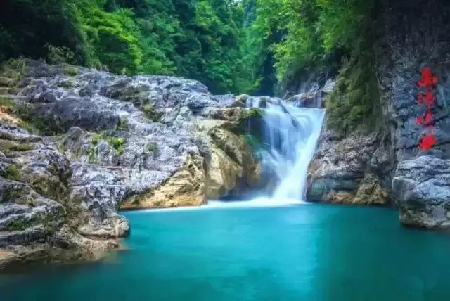 中国富锌富硒有机茶（茶机富硒富锌中国有卖的吗）-硒宝网