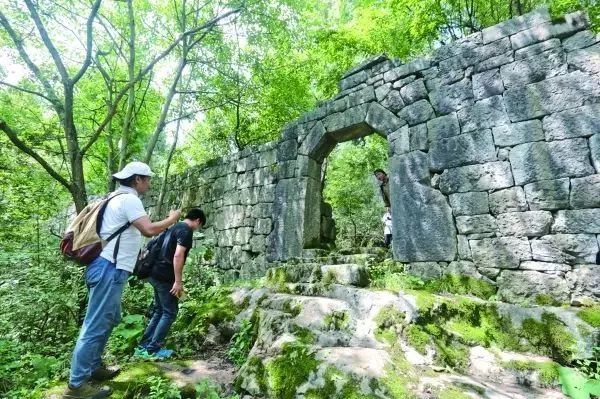 中国富锌富硒有机茶（茶机富硒富锌中国有卖的吗）-硒宝网