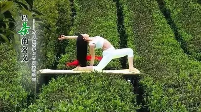 中国富锌富硒有机茶（茶机富硒富锌中国有卖的吗）-硒宝网