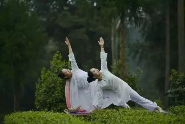 中国富锌富硒有机茶（茶机富硒富锌中国有卖的吗）-硒宝网