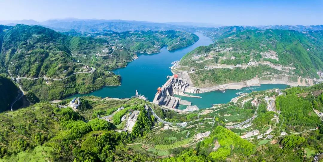 安康富硒茶历史渊源（安康富硒茶是什么茶）-硒宝网