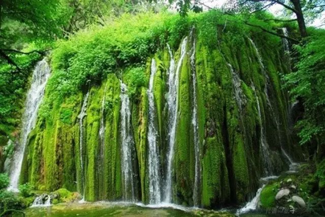 安康富硒茶历史渊源（安康富硒茶是什么茶）-硒宝网