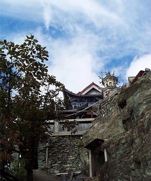 安康富硒茶历史渊源（安康富硒茶是什么茶）-硒宝网