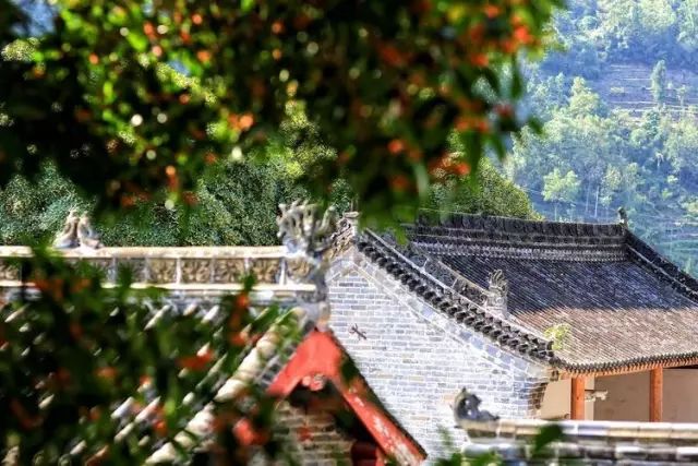 安康富硒茶历史渊源（安康富硒茶是什么茶）-硒宝网