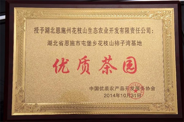 恩施富硒茶网上商城(恩施富硒新茶)-硒宝网