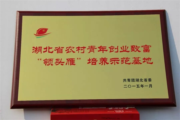 恩施富硒茶网上商城(恩施富硒新茶)-硒宝网