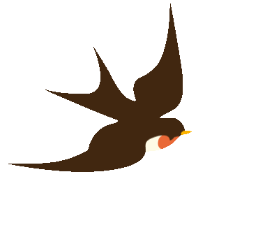 安康富硒茶白河春燕(白河春燕茶200克)-硒宝网