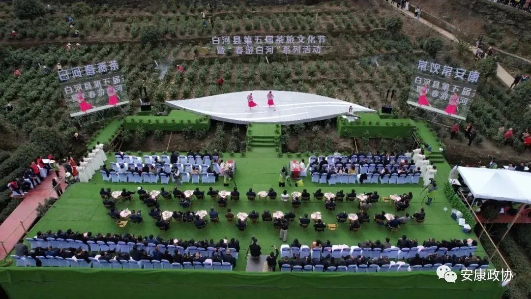 安康富硒茶白河春燕(白河春燕茶200克)-硒宝网