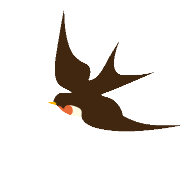 安康富硒茶白河春燕(白河春燕茶200克)-硒宝网