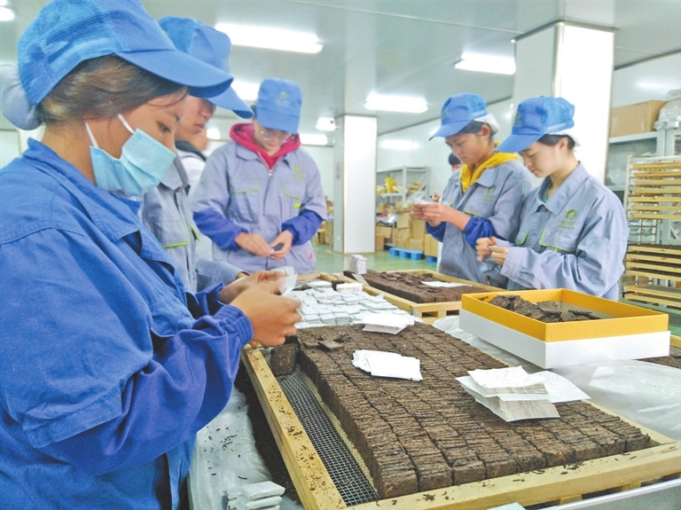 富硒普洱茶种植基地（富硒普洱茶好处）-硒宝网