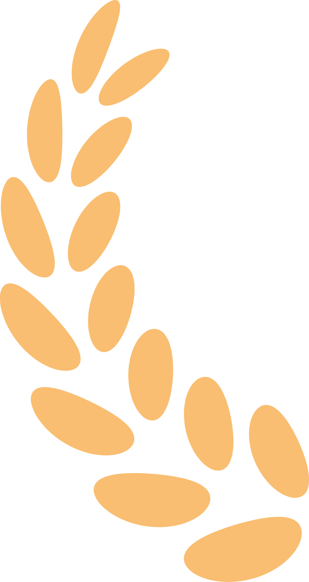 什么食物补锌最好最快(食物补锌治疗时首选的食物是)-硒宝网