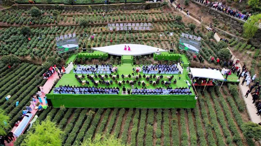 安康富硒茶白河春燕（白河春燕茶厂）-硒宝网