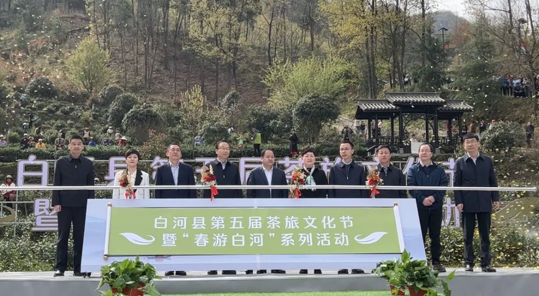 安康富硒茶白河春燕（白河春燕茶厂）-硒宝网