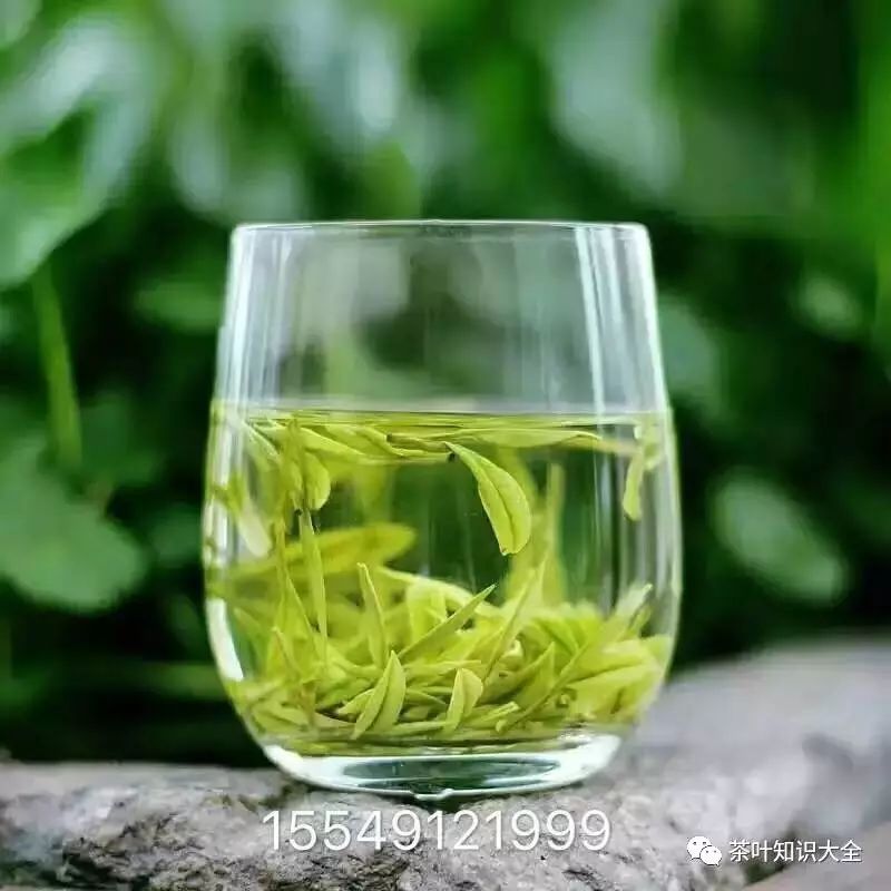 施恩富硒茶是绿茶吗(恩施富硒绿茶多少钱一斤)-硒宝网