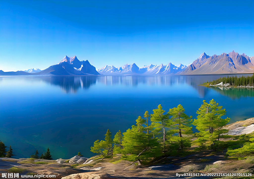 绿水青山紫阳富硒茶(青山绿水茶叶及价格)-硒宝网