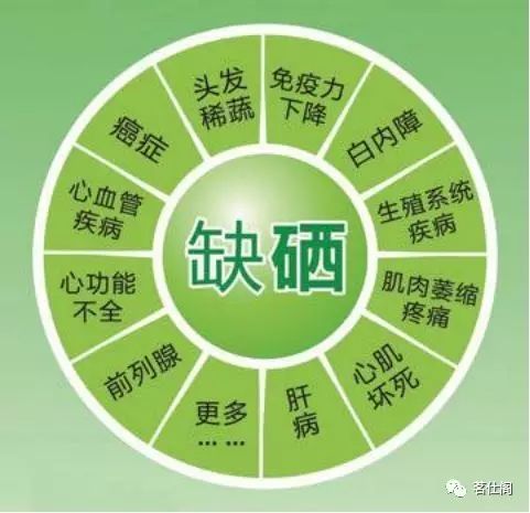 施恩富硒茶是绿茶吗（恩施硒茶和绿茶的区别）-硒宝网