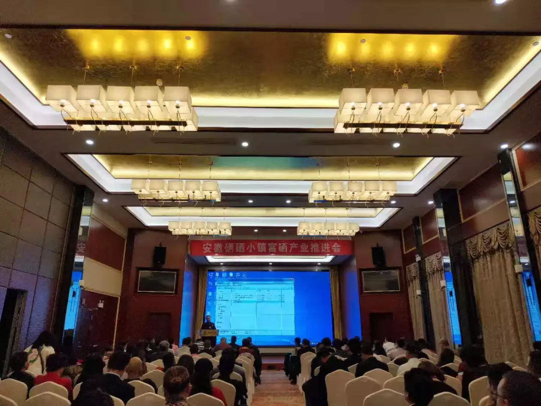 石台富硒茶在哪卖呀（石台富硒茶的功效与作用）-硒宝网