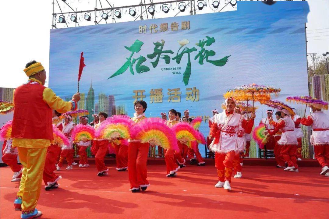 安家坪富硒茶是哪里(安家坪富硒茶多少钱一斤)-硒宝网